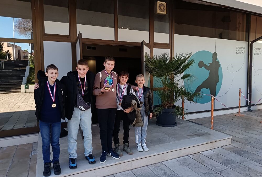 Županijsko natjecanje u šahu